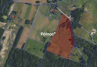 działka na sprzedaż 109013m2 działka Opin