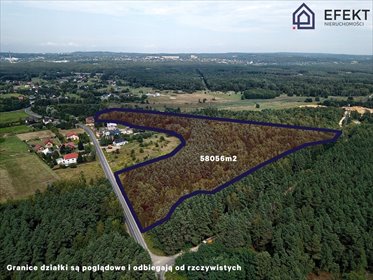Polecam działkę 58 056 m² z lasem i możliwością zabudowy działka Piła Kościelecka