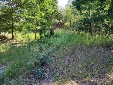Polecam działkę 1741 m² z MPZP, usługami i domem w Starej Wsi działka Stara Wieś