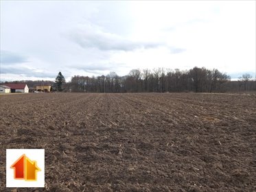 Działka rolna 18 600 m² z lasem, dojazd asfaltowy działka Pawłowice, Podlesie
