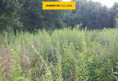 Działka 1700 m² z stawem w Jagatowie (blisko Gdańska) działka Jagatowo