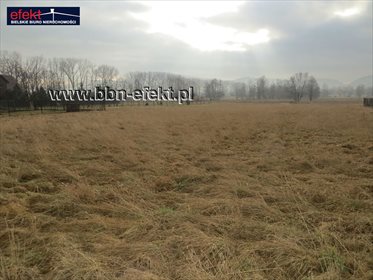 Działka budowlana na sprzedaż Bujaków 3 633m2 Foto 5