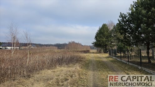 działka na sprzedaż 1500m2 działka Lipków