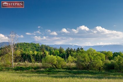Działka budowlana na sprzedaż Bobrów 3 859m2 Foto 7