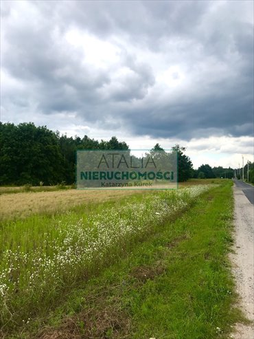 Działka 1900 m2 pod zabudowę w zielonej okolicy działka Powązki