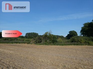 działka na sprzedaż 3400m2 działka Niedźwiady