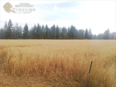 Działka budowlana na sprzedaż Biskupice, Biskupskie Drogi 1 564m2 Foto 4