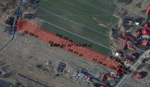 Działka budowlana na sprzedaż Młodocin Mniejszy 6 270m2 Foto 3