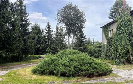 Polecam dom z potencjałem 200 m² na dużej działce 5120 m² dom Jasień