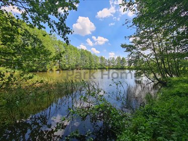 działka na sprzedaż 10919m2 działka Wydorowo