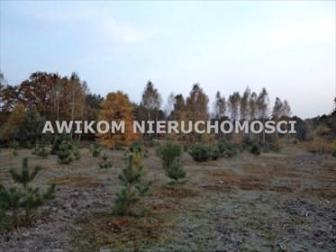 działka na sprzedaż 25460m2 działka Grzegorzewice