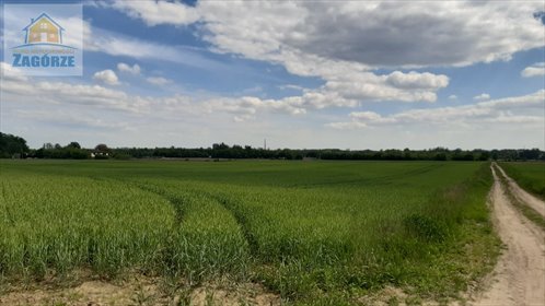 działka na sprzedaż 17806m2 działka Toruń, Wiejska