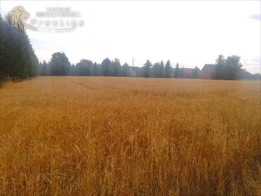 Działka budowlana na sprzedaż Biskupice, Biskupskie Drogi 1 564m2 Foto 3
