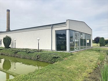 lokal użytkowy na wynajem 286m2 lokal użytkowy Baranowo