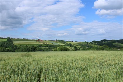 działka na sprzedaż 28506m2 działka Raciechowice