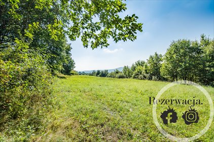 Działka 15 200 m² z dostępem do infrastruktury i widokami działka Ropica Polska