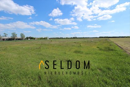 działka na sprzedaż 6300m2 działka Kuny