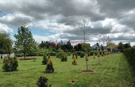Do sprzedania działka 5700 m² pod rezydencję lub inwestycję działka Konstancin-Jeziorna