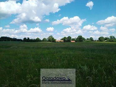 działka na sprzedaż 1660m2 działka Żywy