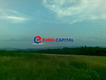Działka rolna na sprzedaż Gierałtowice 6 000m2 Foto 1