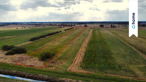 działka na sprzedaż 11200m2 działka Kruszyn Krajeński, Kanałowa