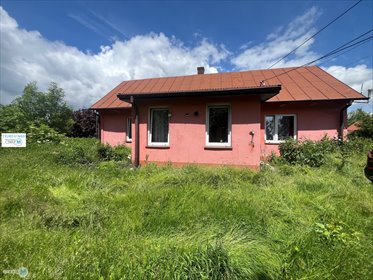 Urokliwy dom z dużą działką i letniskowym domkiem dom Chmielnik, Jasień, Jasień