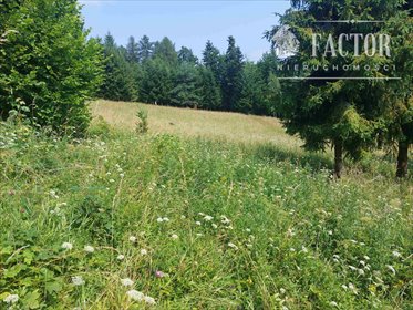 działka na sprzedaż 7330m2 działka Szymbark