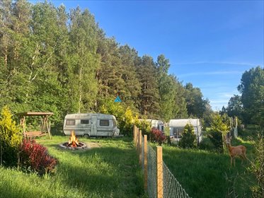 Działka rekreacyjna w Ostrowie las, spokój, natura działka Ostrowo