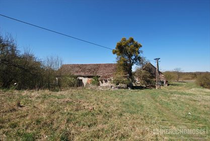 Lokal użytkowy na sprzedaż Czarne Wielkie, Las 99m2 Foto 6