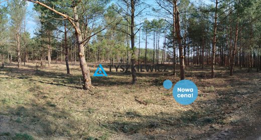 działka na sprzedaż 1000m2 działka Bukowiny