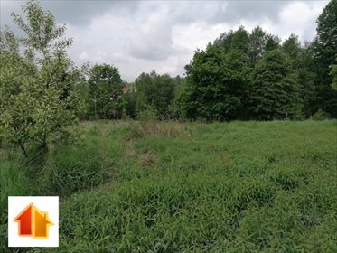 działka na sprzedaż 2700m2 działka Orzesze, 22 Lipca