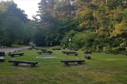 Działka budowlana na sprzedaż Trzcielin, Dopiewo 24 400m2 Foto 2