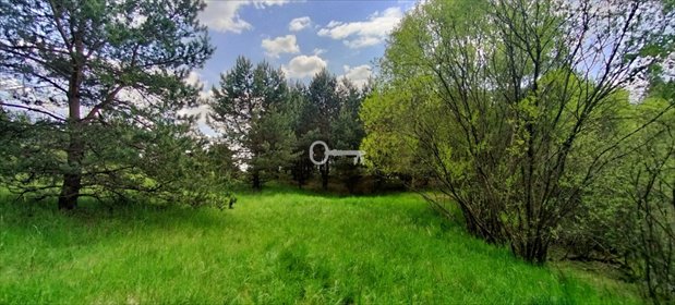 Działka 13 700 m² pod rekreację i inwestycję w Borach Tucholskich działka Lubiki