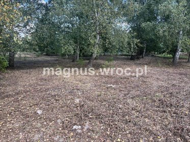 działka na sprzedaż 1005m2 działka Miłoszyce, Brzozowa