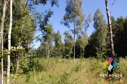 Działka rolna na sprzedaż Wojtkowizna 3 400m2 Foto 3