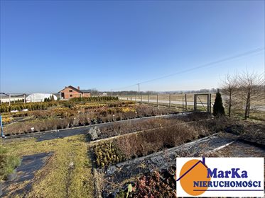 Działka budowlana na sprzedaż Nowe Kotlice 1 200m2 Foto 3