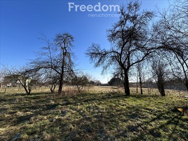 Działka rolna na sprzedaż Stawy Monowskie, Objazdowa 3 600m2 Foto 2