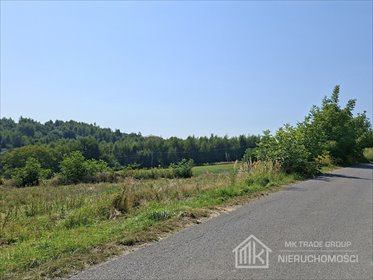 Na sprzedaż działka 58 a z częścią budowlaną i rolną w Bodzanowie działka Bodzanów