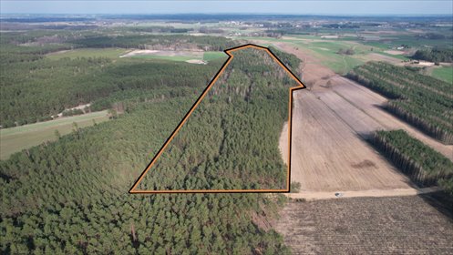 działka na sprzedaż 123000m2 działka Żebry-Perosy