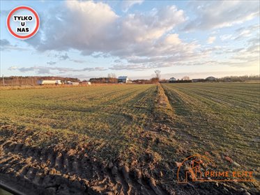 Działka usługowa 8 400 m² przy S8 z mediami. działka Krze Duże