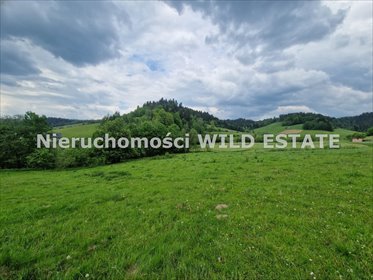 Działka budowlana nad Jeziorem Solińskim z warunkami zabudowy działka Solina, Zawóz