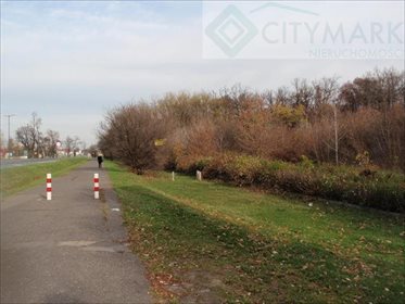 Działka inwestycyjna na sprzedaż Warszawa, Białołęka, Wiśniewo 87 000m2 Foto 1