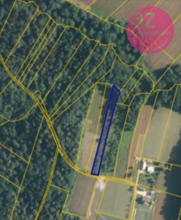 działka na sprzedaż 4600m2 działka Łużna