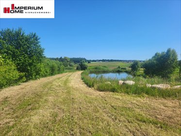 Zapraszam do zakupu działki 23 300 m² z własnym stawem działka Przyjaźń, Mała Przyjaźń