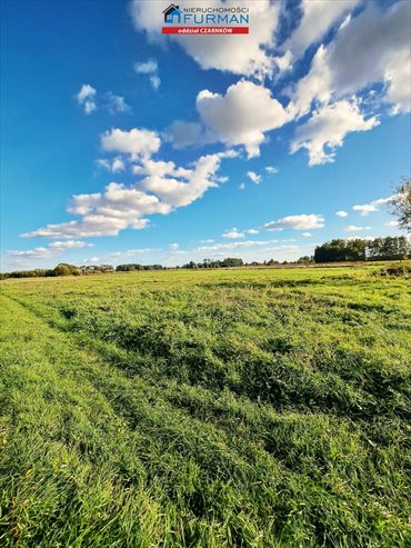 działka na sprzedaż 9900m2 działka Radolin