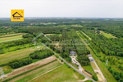 Działka 10 000 m² w Uściążu (las, widoki, inwestycja) działka Uściąż, Uściąż
