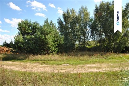 działka na sprzedaż 1111m2 działka Lisi Ogon