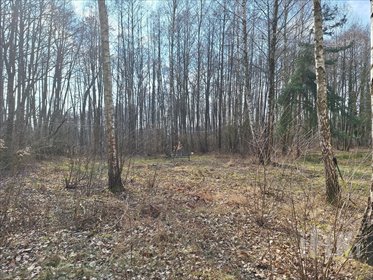 działka na sprzedaż 4700m2 działka Zaręby