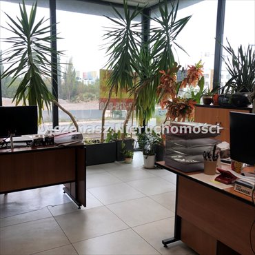 lokal użytkowy na wynajem 430m2 lokal użytkowy Bydgoszcz