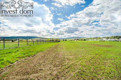 działka na sprzedaż 8223m2 działka Sękowa